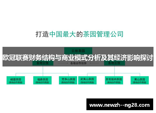 欧冠联赛财务结构与商业模式分析及其经济影响探讨